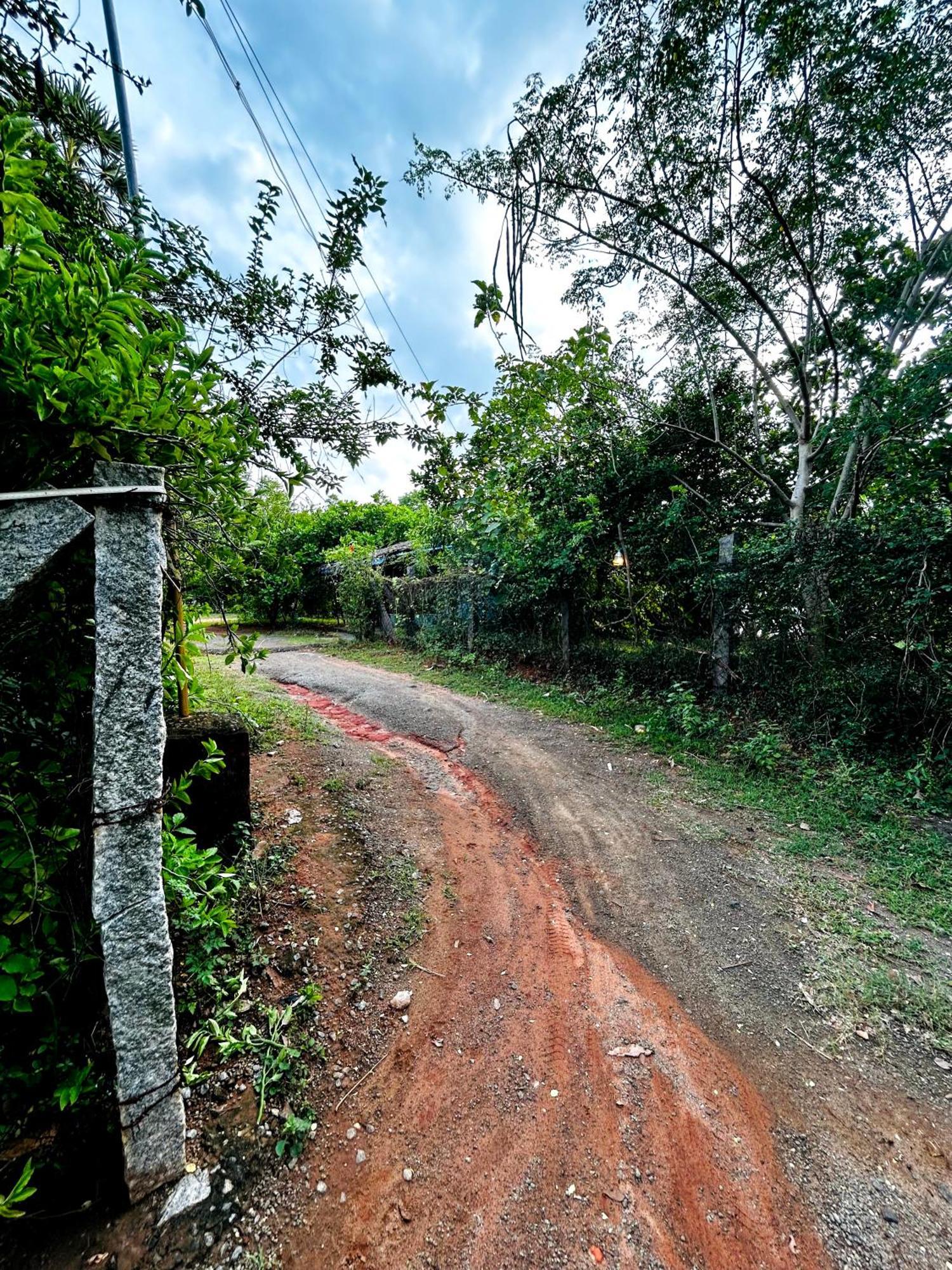 Boomerang Community Auroville Exterior foto