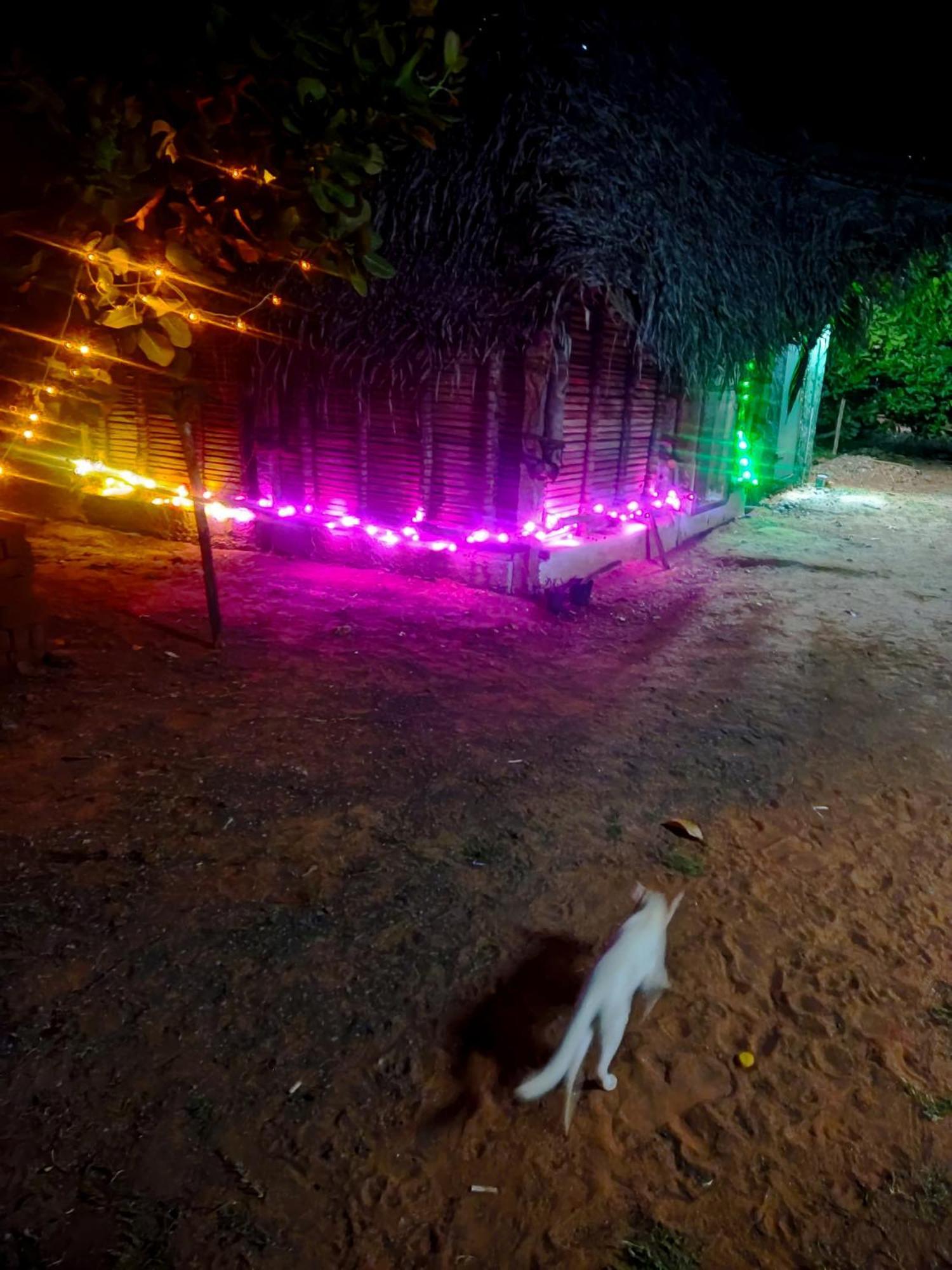 Boomerang Community Auroville Exterior foto